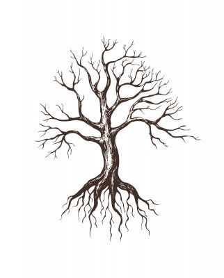 The Alternate Root